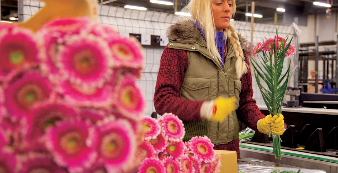 Les fleurs de qualité nécessitent des températures ambiantes stables