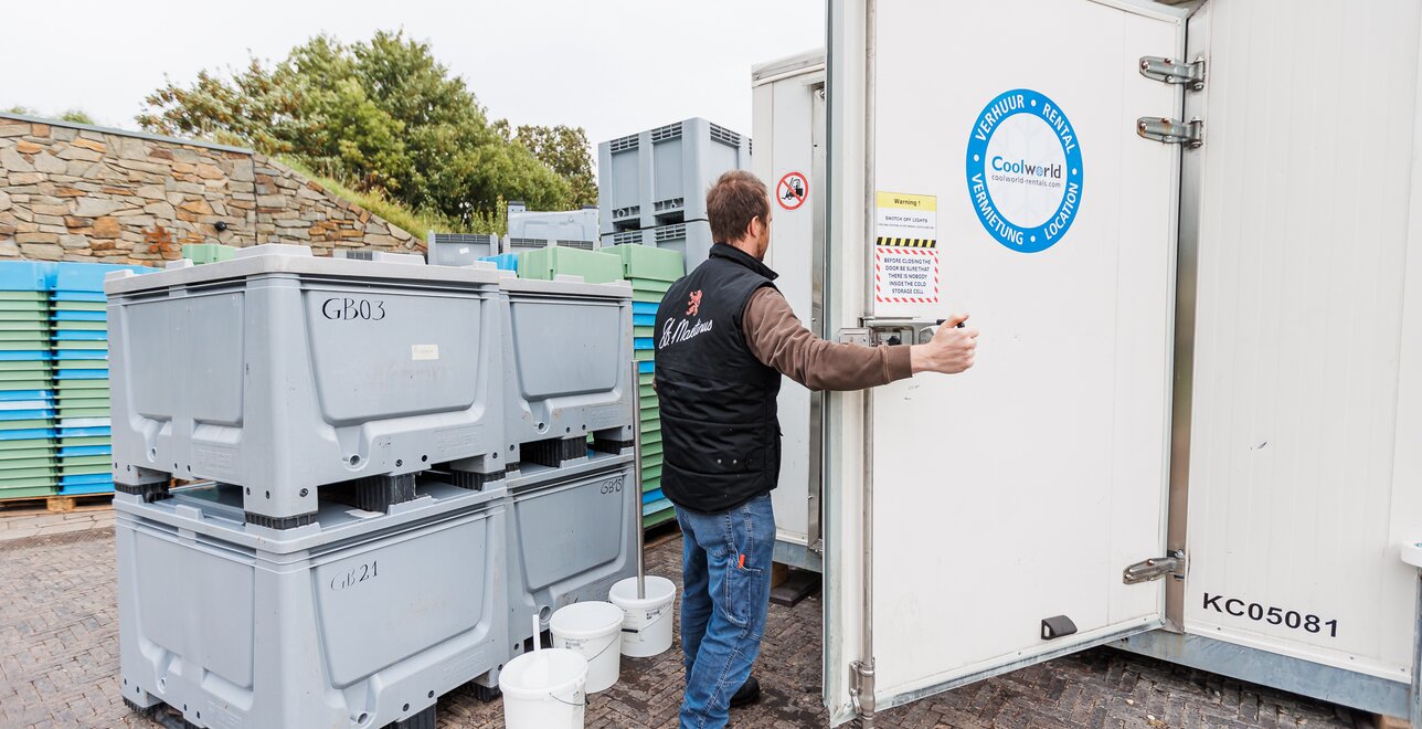 De koelcellen bij de verwerking van een continue aanvoer van grote volumes druiven.